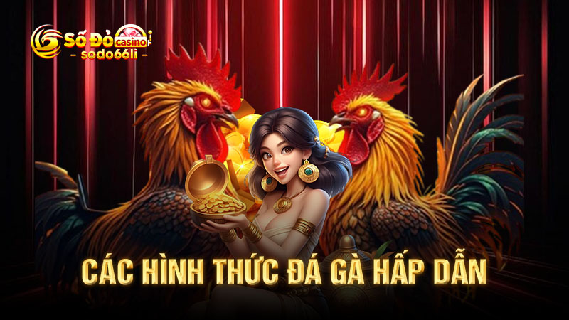 các hình thức đá gà hấp dẫn