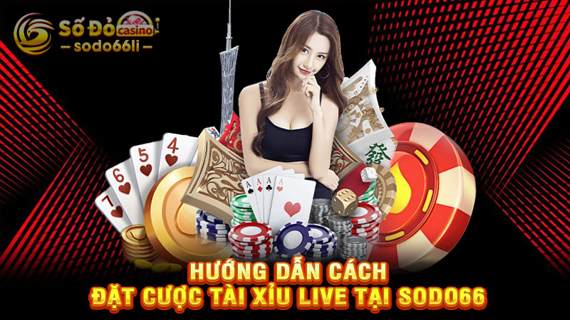 hướng dẫn cách đặt cược tài xỉu live tại sodo66