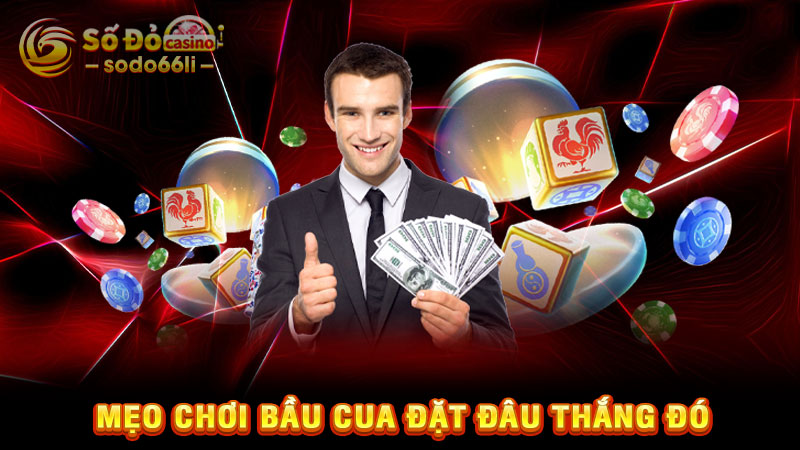 mẹo chơi bầu cua đặt đâu thắng đó