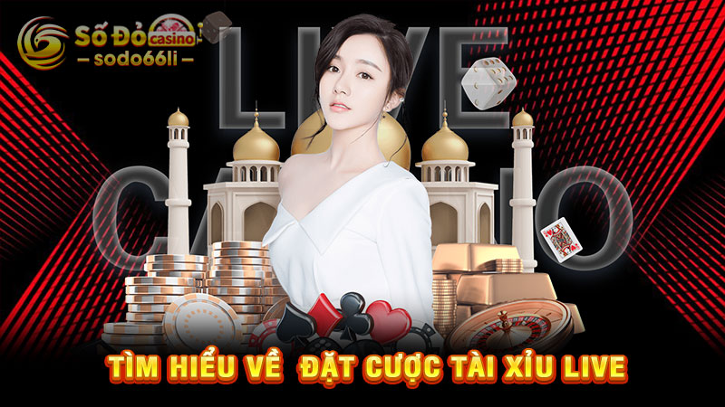 tìm hiểu về đặt cược tài xỉu live
