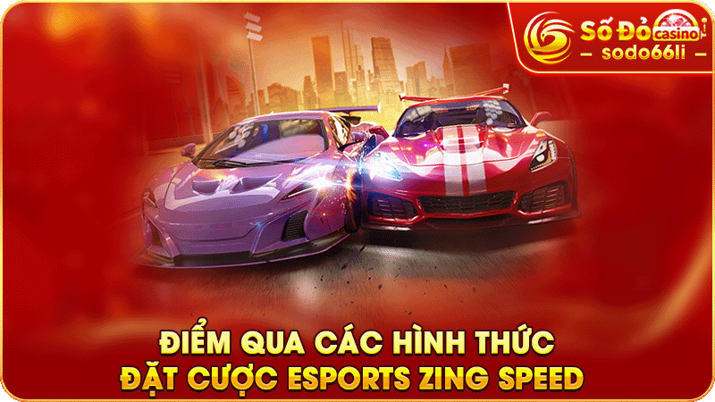 điểm qua các hình thức đặt cược esports zing speed